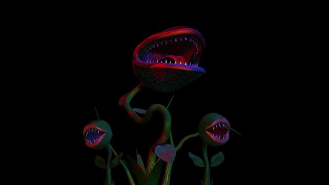 Funny seamless animation of an carnivorous plant. Funny Halloween background of a terror character isolated with alpha channel