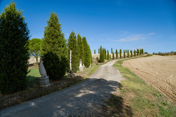 The classic image of countryside road with cypress of Tuscany around Pienza
