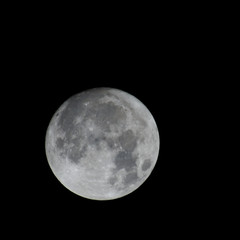 pełnia księżyca,  800 mm