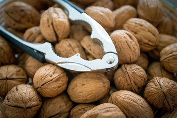 Background of fresh walnuts.  Natural walnut background