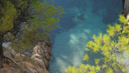 Naklejka na ściany i meble Green pine trees on rocky coast over natural pool with crystal clear water