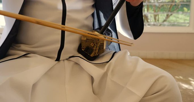 very close shot of a erhu, chinese traditional instrument with two strings and a bow. on a grey arm chair. python skin and white tail horse hair