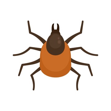 brown tick insect isolated white background clip art preview