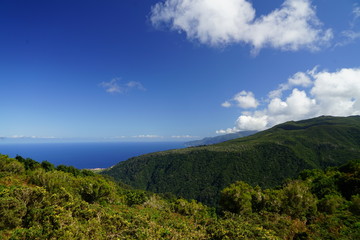 Fototapeta na wymiar Ocean - Madeira - Portugal