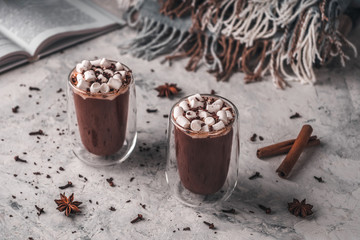Two glasses of hot cocoa with marshmallow and chocolate chips on a background of scattered cloves, chocolate, star anise and cinnamon, with a book and a blanket in the background