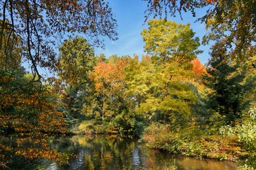 beautiful autumn trees with colorful leaves on a lake in an old park, seasonal nature background with blue sky