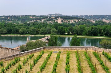Le Rhône, Pont d'Avignon, France
