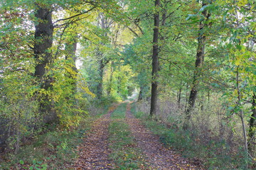 herbst