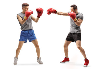 Two young men fighting with boxing gloves