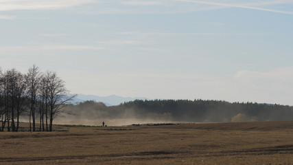Fototapeta na wymiar Shepard and his herd far away walk in a cloud of dust, rural landscape