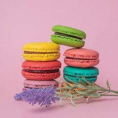 tasty colorful macarons on pink background