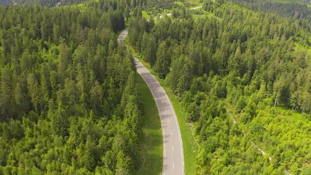Aerial view flying over two lane forest road with car moving green trees of woods growing both sides. Car driving along forest road. aerial:car driving through pine forest.Germany black forest aerial