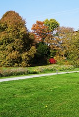 park in autumn