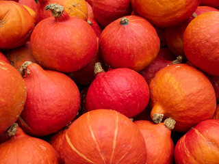 Red kuri squash (often spelled 'kari') is thin skinned orange colored winter squash, that has the appearance of a small pumpkin without the ridges.