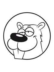 Biber doof witzig niedlich Holz Damm Wasser Wald Tier Nagetier schwimmen rund Bach Fluss Fell einfarbig