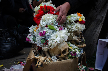 The photograph shows several human skulls in a Bolivian festival where death is venerated