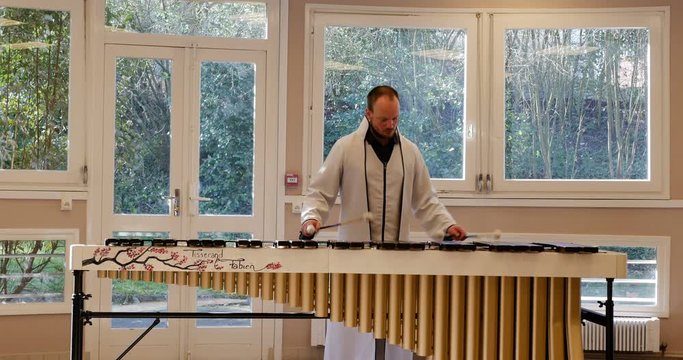 Male professional musician playing white beautiful marimba xylophone, clear and green background. Educational percussion instrument for youth and children musical happiness
