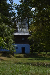 old house in the forest