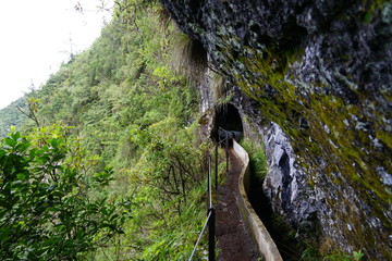 Levada