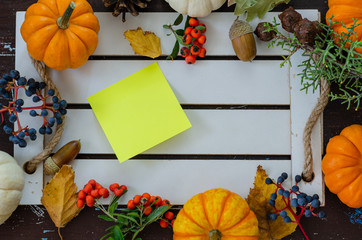 Thanksgiving day or Halloween and autumn concept.