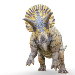 triceratops attacking on white background © DM7
