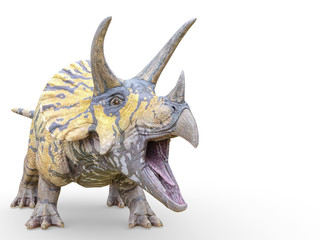 triceratops is calling on white background © DM7