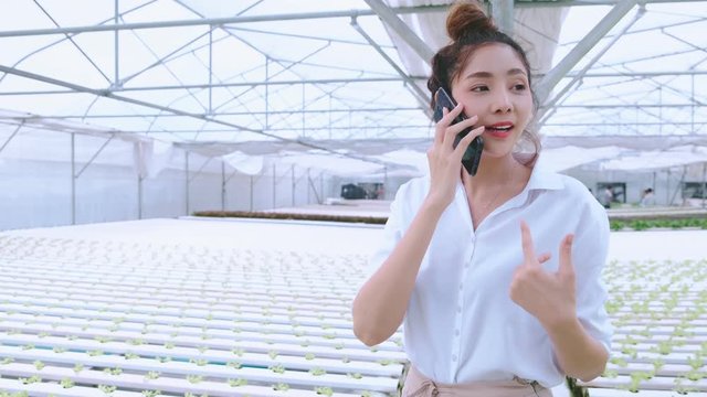 slow 4k handheld business investor woman hand hold smartphone communication with client business dealing in hydroponics greenhouse farm background