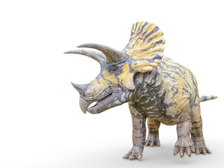 triceratops on white background pose one © DM7