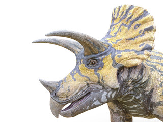 triceratops on white background © DM7