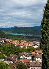 Obraz premium Weintrauben