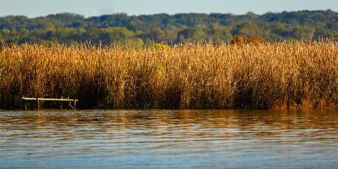 Marsh Grasses and Reflection in the Late Afternoon Sun