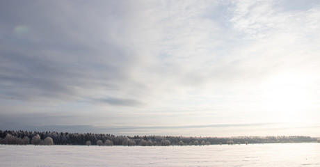 Obraz premium Snowy winter landscape in the field. Frozen white trees. Russian open spaces.