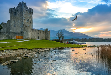 Ross Castle Killarney Kerry Ireland medieval reflection