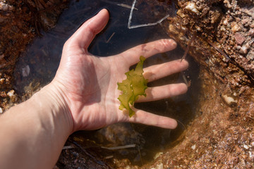 Wunderschöne Elegante Frau in Italien