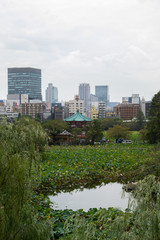 Fototapeta premium Świątynia między miastem a naturą