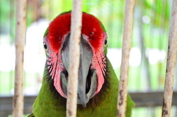 Fotos en algun lugar del mundo