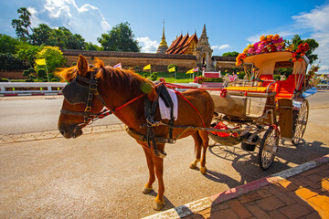Naklejka na ściany i meble The horse carriage in Lampang at Wat Phra That Lampang Luang , Lampang province in LAMPANG THAILAND