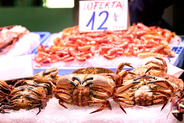 Tasted seafood in the market