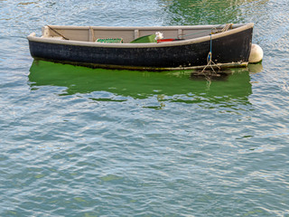 Wooden Skiff