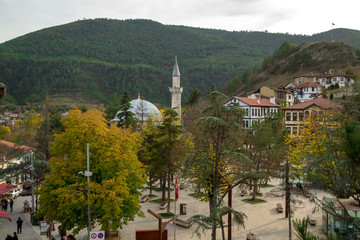 historic city surrounded by forest and trees