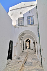 Tunis  -  the capital and the largest city of Tunisia.