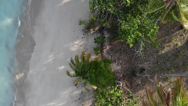 Beach Bahia Brasil, Boipeba, Morro de São Paulo, Salvador, Castelhanos, Bainema, Moreré