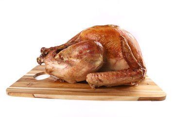 Roast turkey isolated on white background, shallow focus