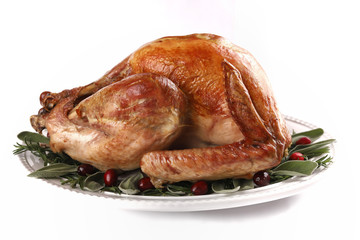 Roast turkey isolated on white background, shallow focus
