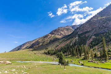 Fototapeta na wymiar Kyrgyzstan gorges.Sky blue. Mountain valley. Panoramic view. Park, outdoor.