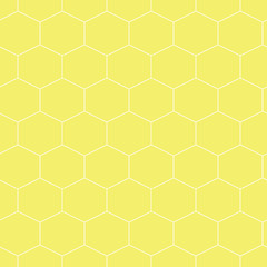Bee honeycomb.  Hexagons vector illustration