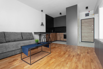 contemporary living room interior