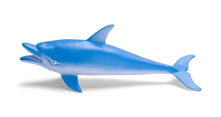 Dolphin Side View