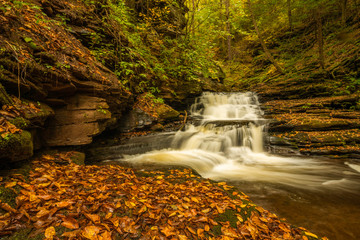 Autumn waterfall scenery with fallen leaves and beautiful fall colors at Ricketts Glen Park in Pennsylvania