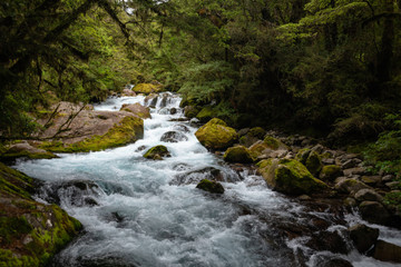 Milford Sound Rapids